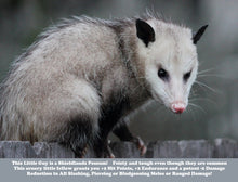 Load image into Gallery viewer, Hawethorne Treasure Bag - 2025 Edition