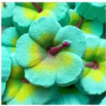 Load image into Gallery viewer, Bath Bombs (assorted varieties)