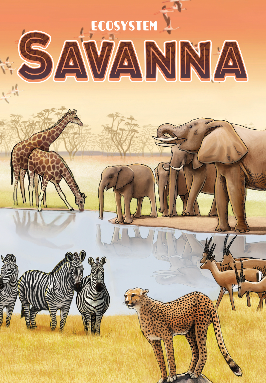 ECOSYSTEM SAVANNA