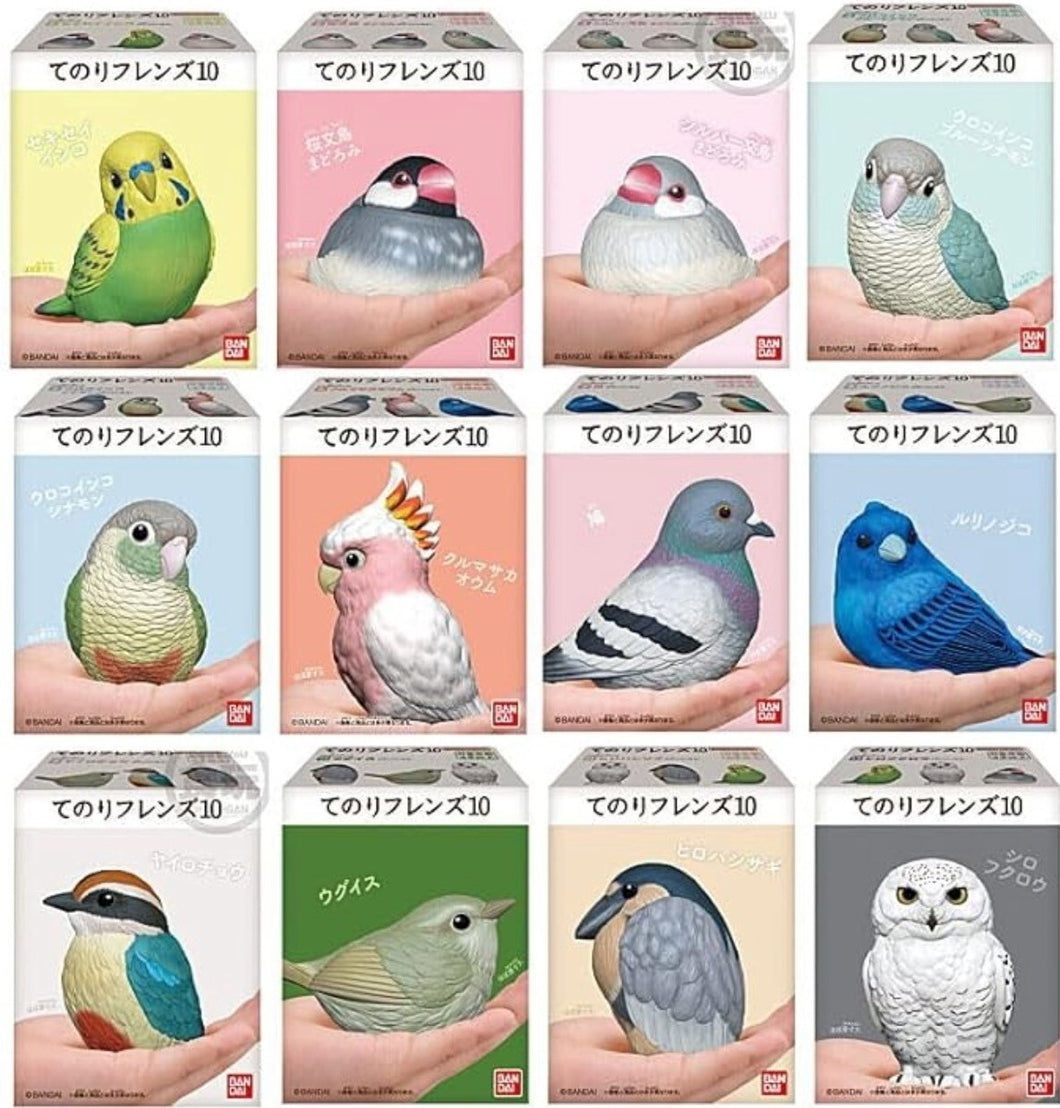 Birds - Baby Friends Tenori
