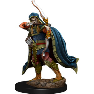 D&D Icons of the Realms - Premium Figures